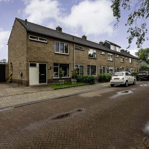 David Krammerstraat 49