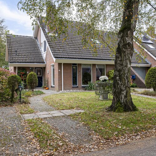 Boerhoorn 18