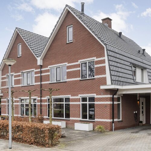 Moesdistel 11