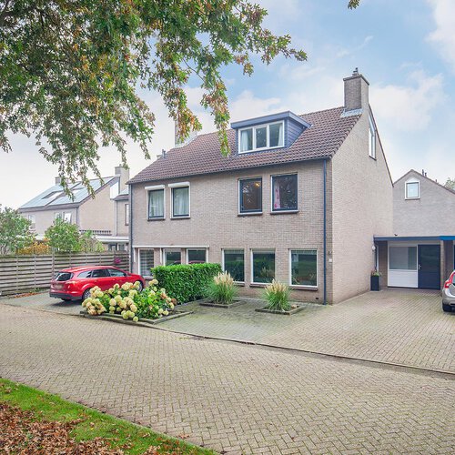 Zwarte Mees 48
