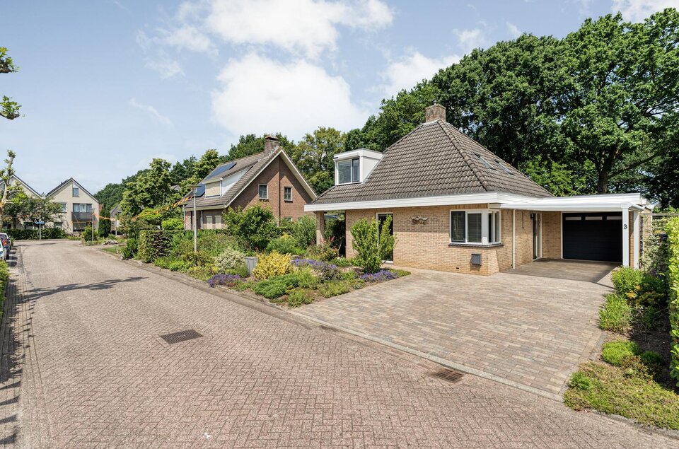 Plataan 3 COEVORDEN