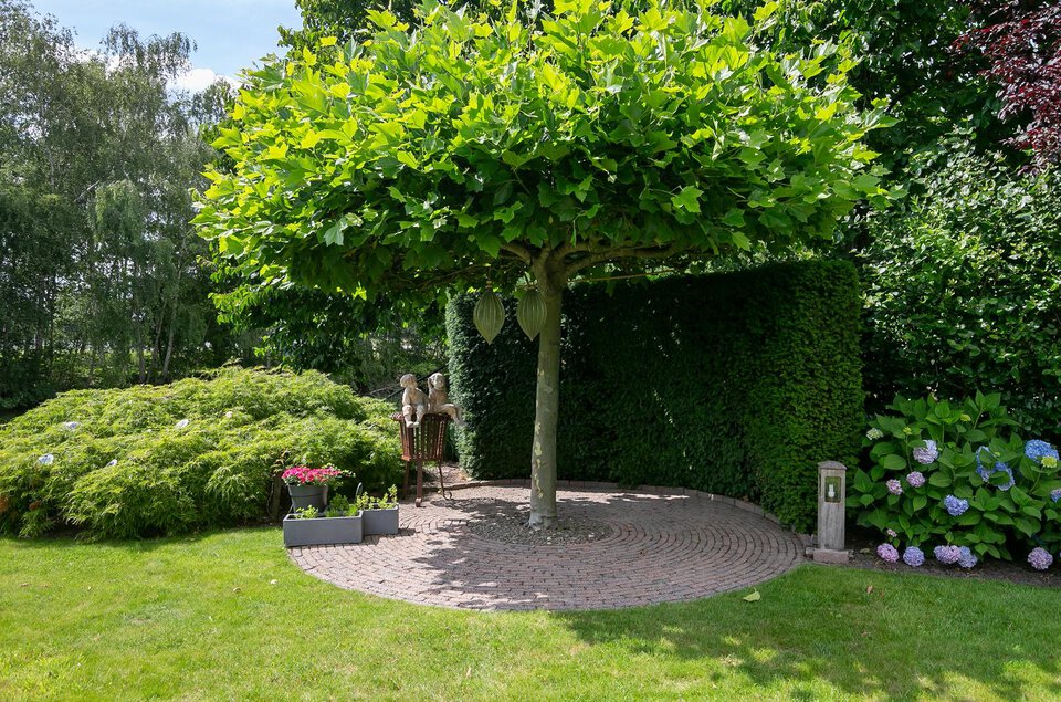 Oeverzwaluw 16 COEVORDEN