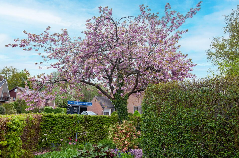 van Bothnialaan 24 COEVORDEN