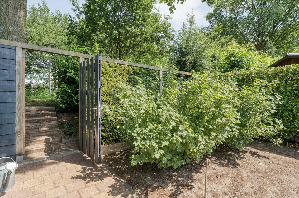 Plataan 3 COEVORDEN