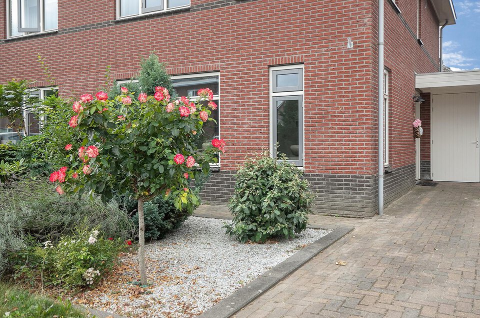 Bolderik 9 COEVORDEN