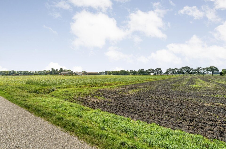 Dommerswijk 28 DE KRIM