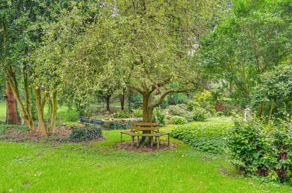 Reindersdijk 6 DALEN