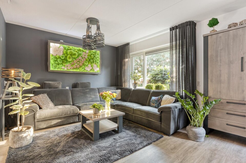 Taxus 24 COEVORDEN
