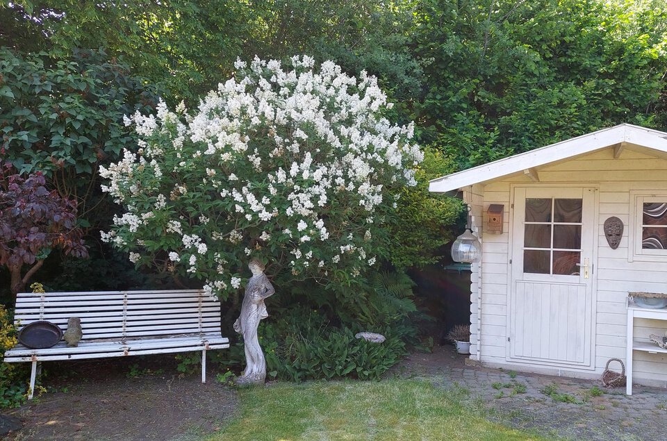 Betsy Trompetterstraat 22 COEVORDEN