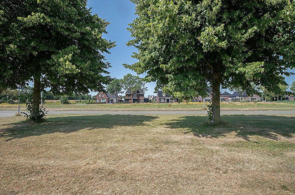 Taxus 2 COEVORDEN