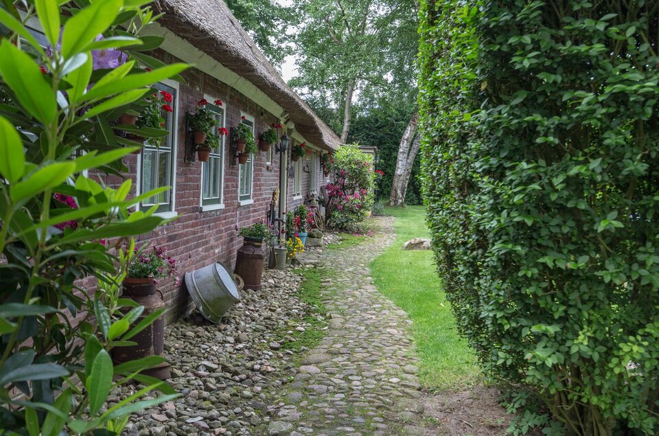 Westerwijk 6 DALEN