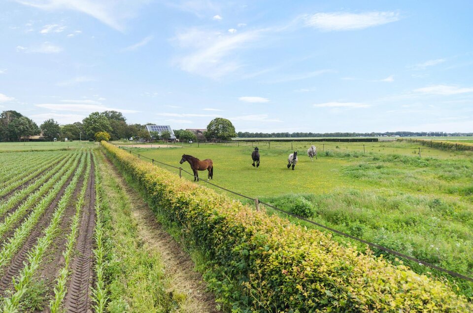 Rieweg 1 WACHTUM