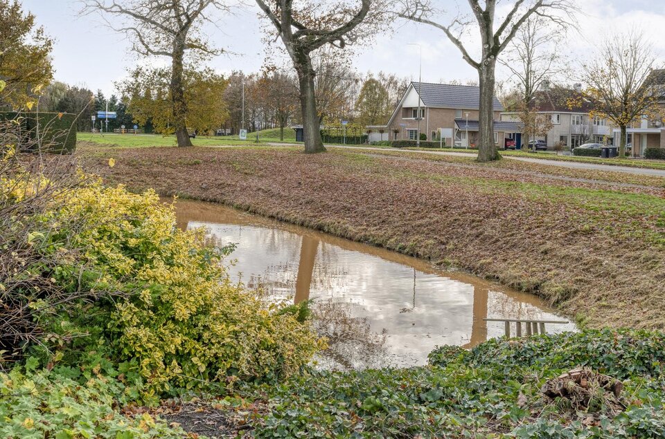 Goudenregen 2 COEVORDEN