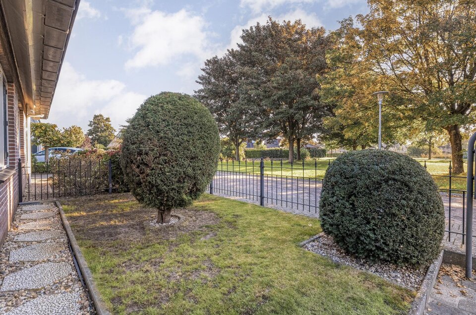 Taxus 24 COEVORDEN