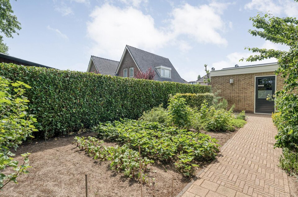 Plataan 3 COEVORDEN