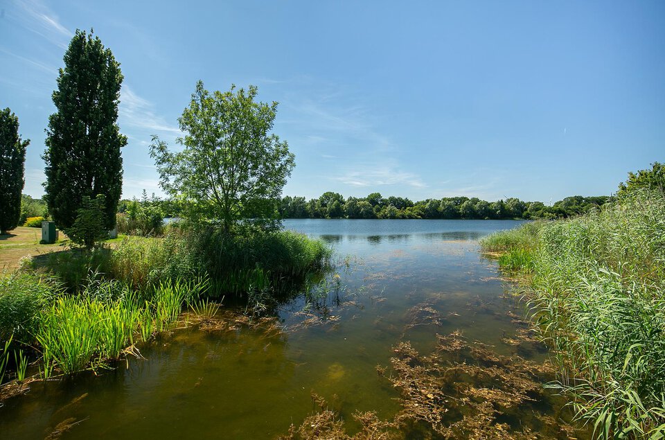 Oeverzwaluw 10 COEVORDEN
