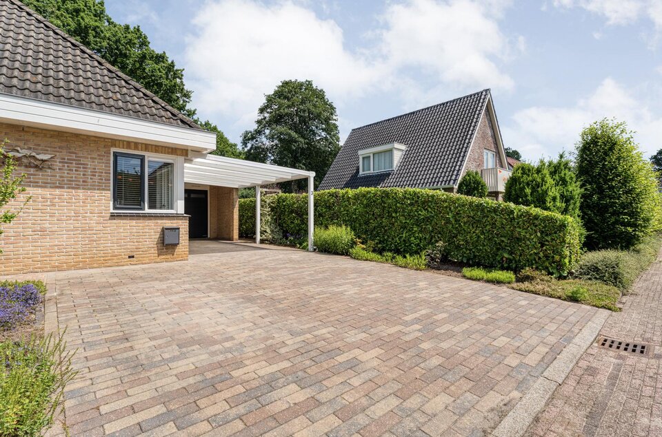 Plataan 3 COEVORDEN