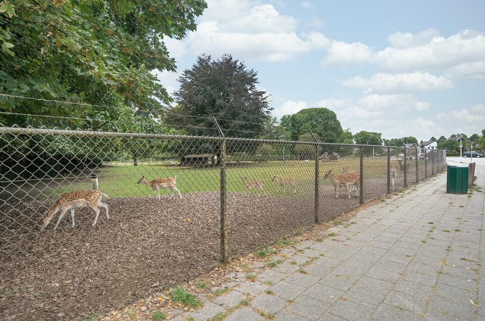 Schutselaan 9 COEVORDEN