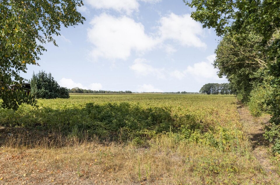 Westerfeld 62 EMLICHHEIM
