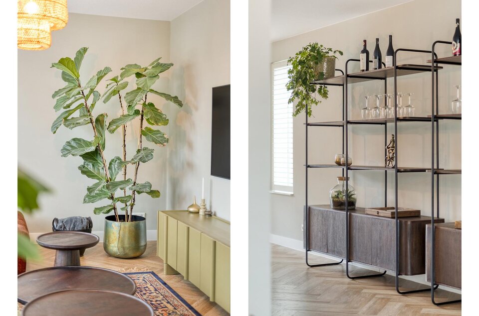 Moesdistel 10 COEVORDEN