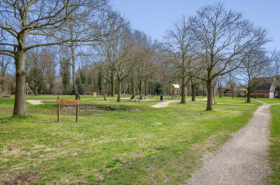 Zaagmolen 1 DALEN
