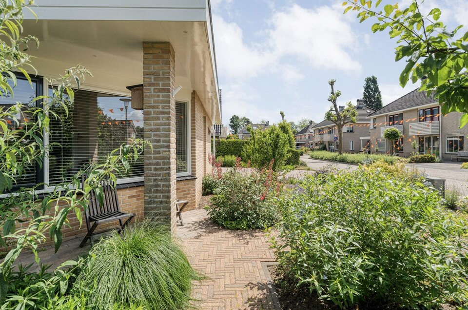 Plataan 3 COEVORDEN