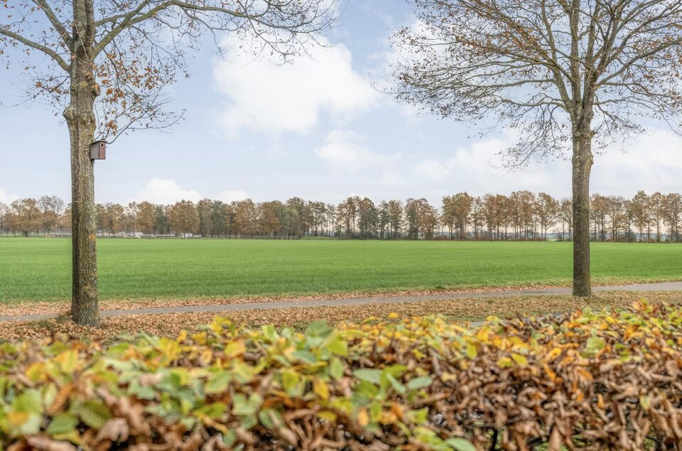 Reindersdijk 33 DALEN