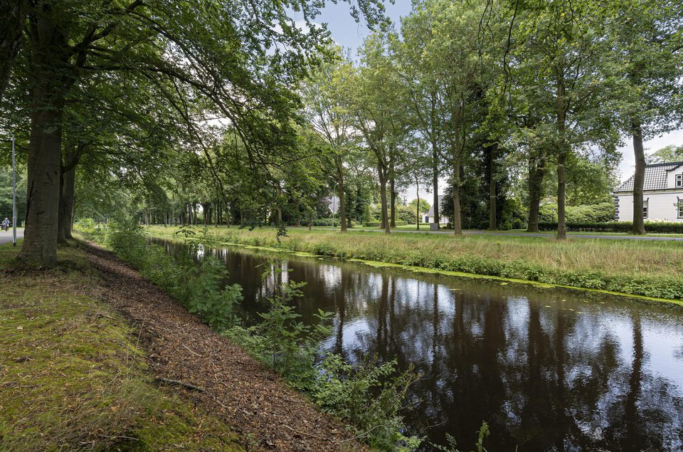Zijtak WZ 137 NIEUW-AMSTERDAM