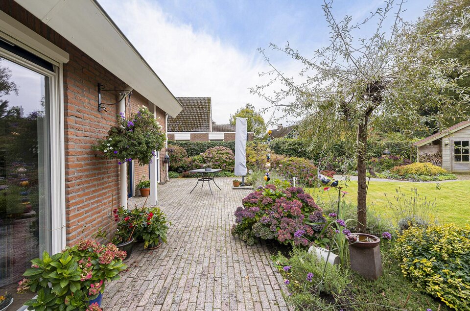 Boerhoorn 18 OOSTERHESSELEN