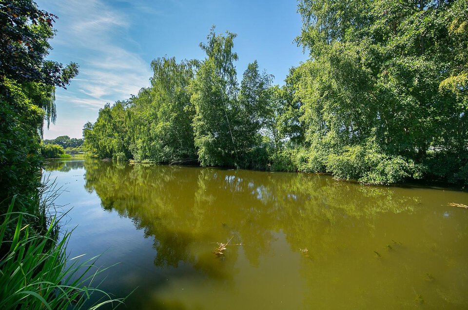 Oeverzwaluw 10 COEVORDEN
