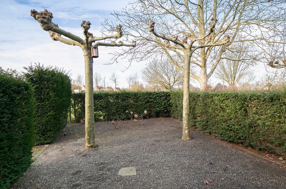 Tijgeroogdreef 14 EMMEN