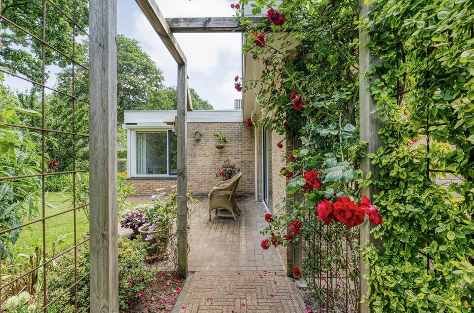 Plataan 3 COEVORDEN