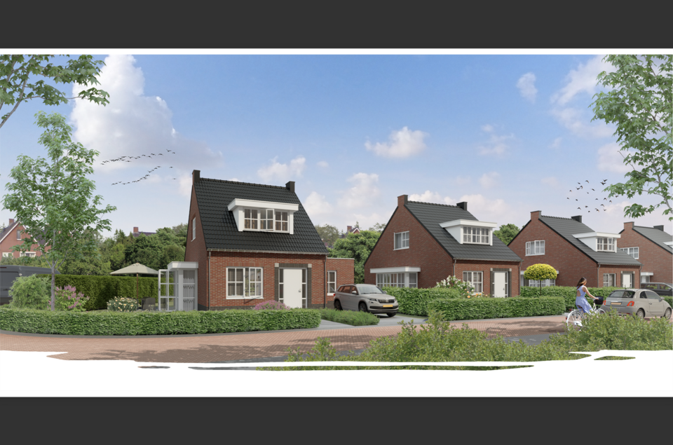 Moesdistel kavel M8 COEVORDEN