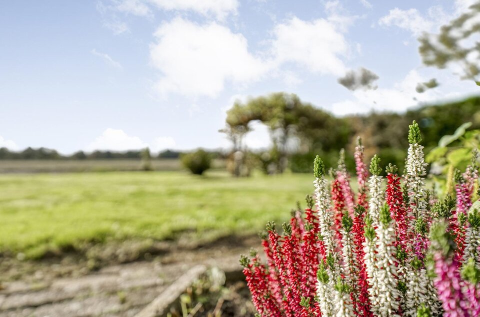 Nieuwe Krim 37 COEVORDEN