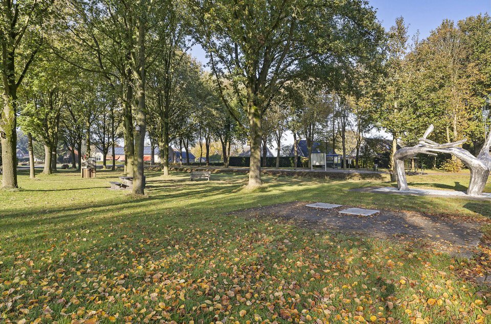 Berkenlaan 3 GEESBRUG