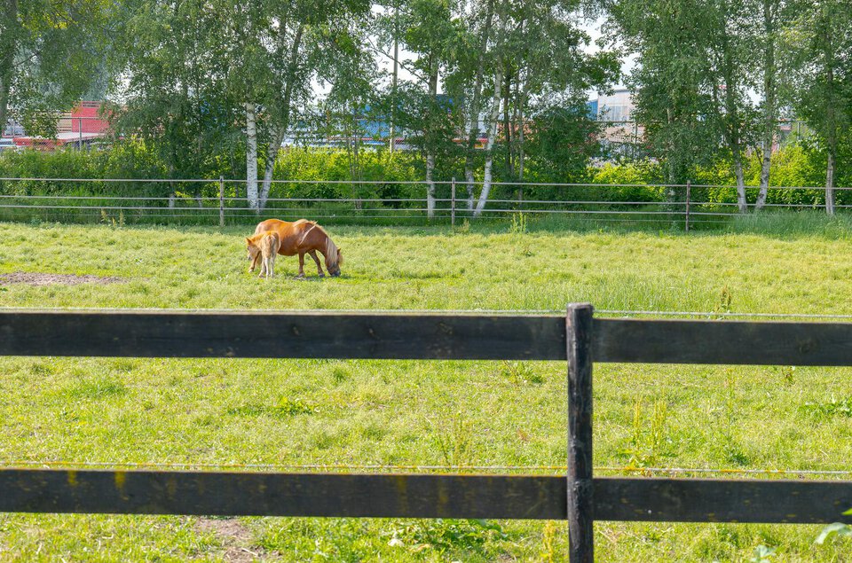 Krimweg 38 COEVORDEN
