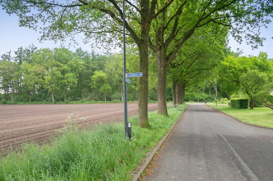Langbos 65 OOSTERHESSELEN