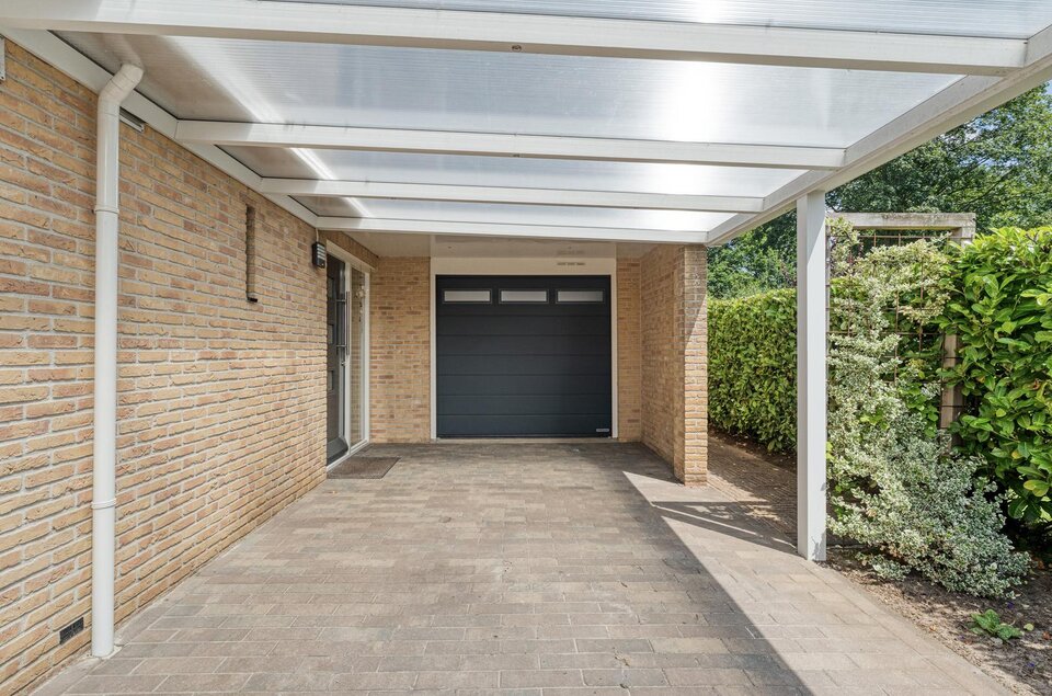 Plataan 3 COEVORDEN