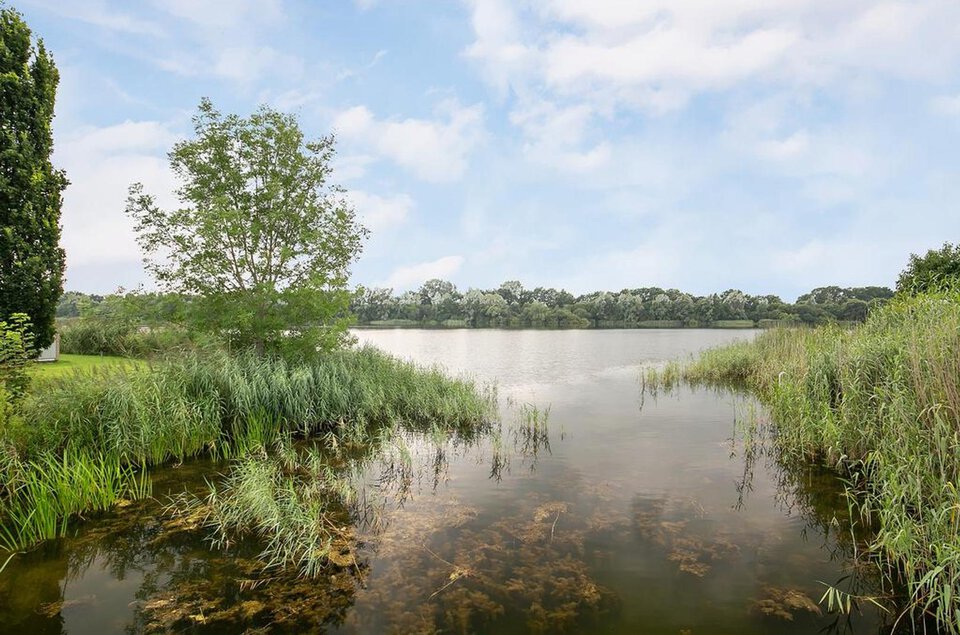 IJsvogel 9 COEVORDEN