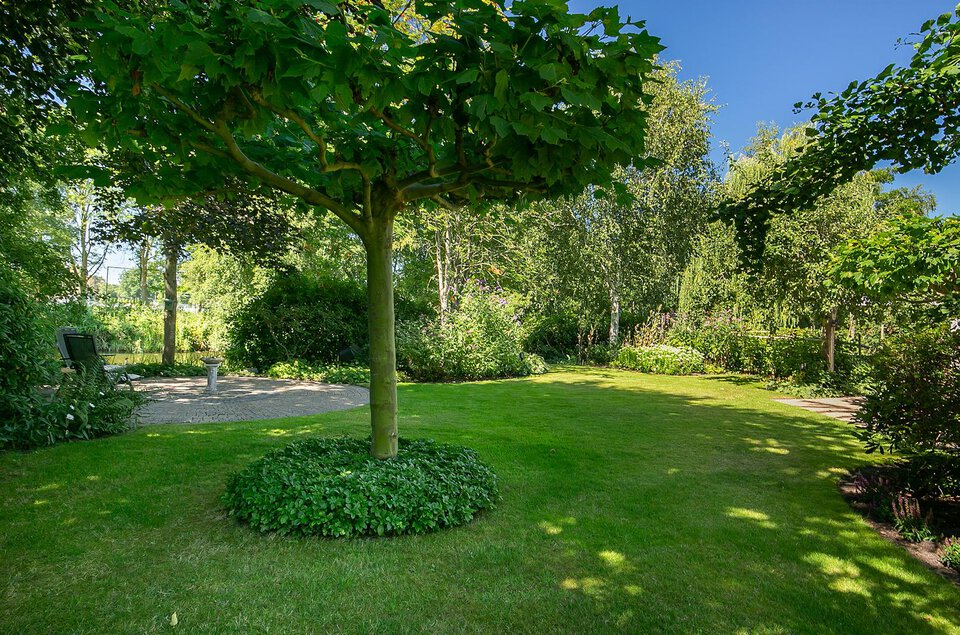 Oeverzwaluw 10 COEVORDEN