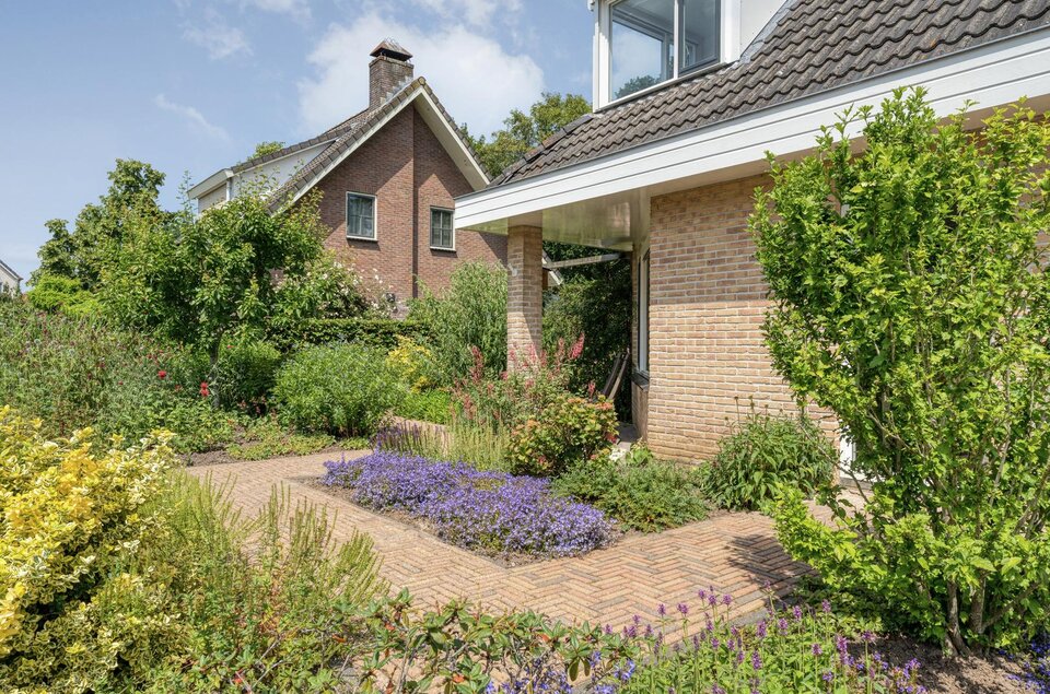 Plataan 3 COEVORDEN