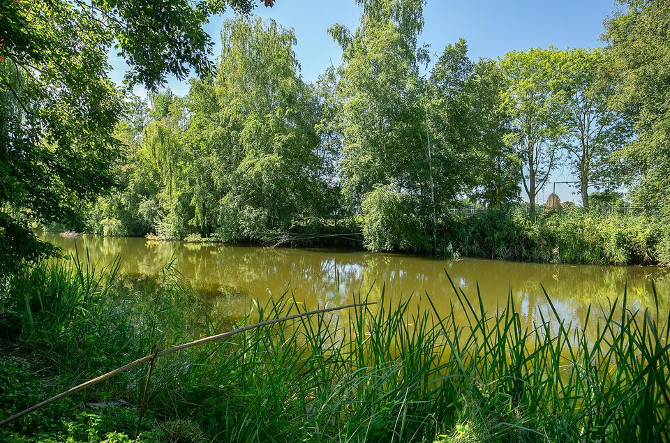 Oeverzwaluw 10 COEVORDEN