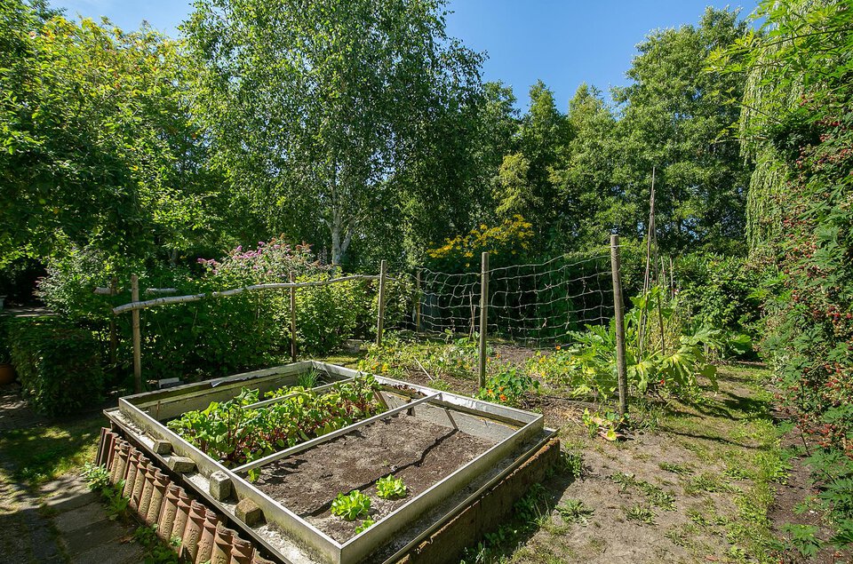 Oeverzwaluw 10 COEVORDEN