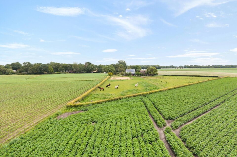 Rieweg 1 WACHTUM