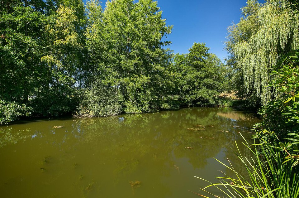 Oeverzwaluw 10 COEVORDEN