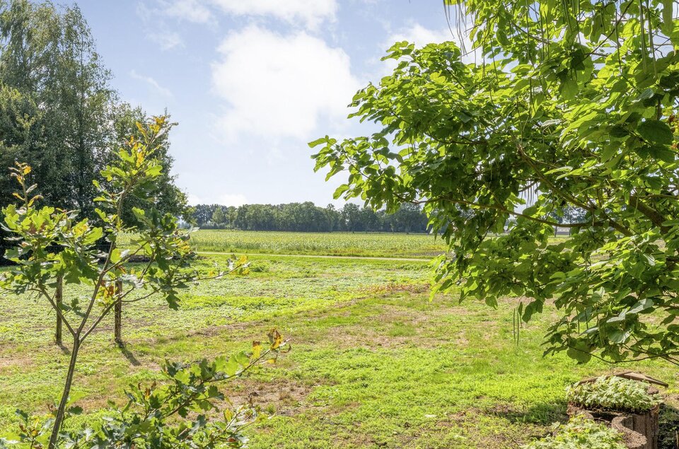 Dommerswijk 28 DE KRIM