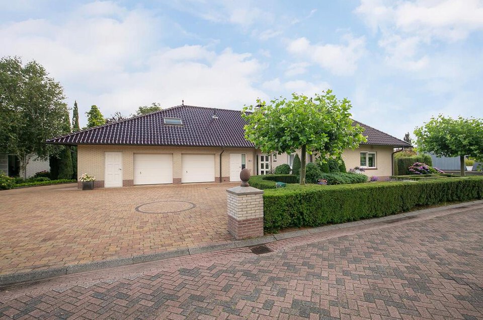 IJsvogel 9 COEVORDEN