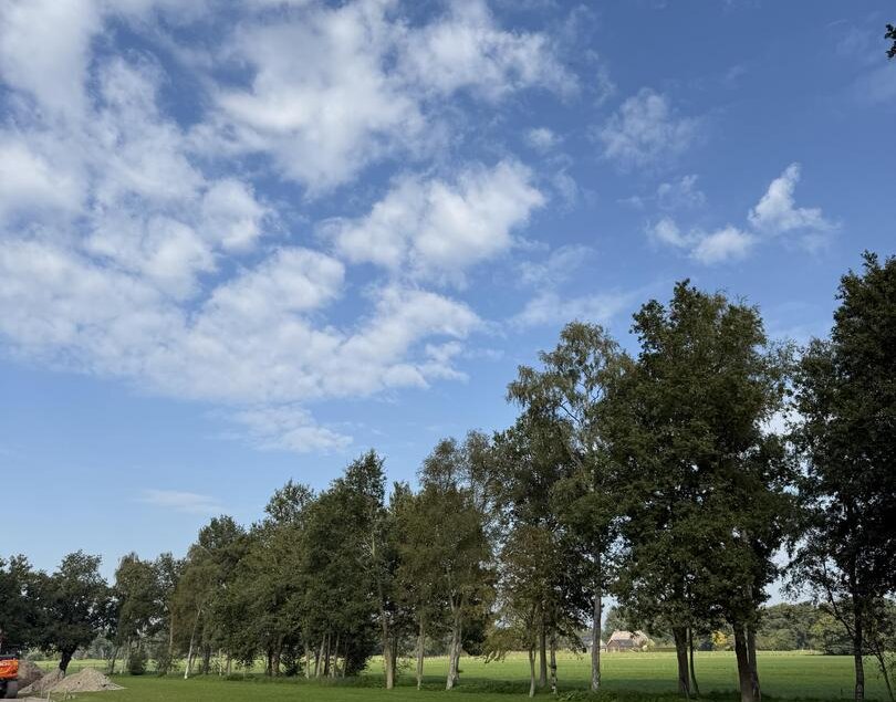 De Drift Kavel 19 DALEN