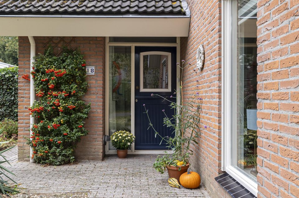 Boerhoorn 18 OOSTERHESSELEN