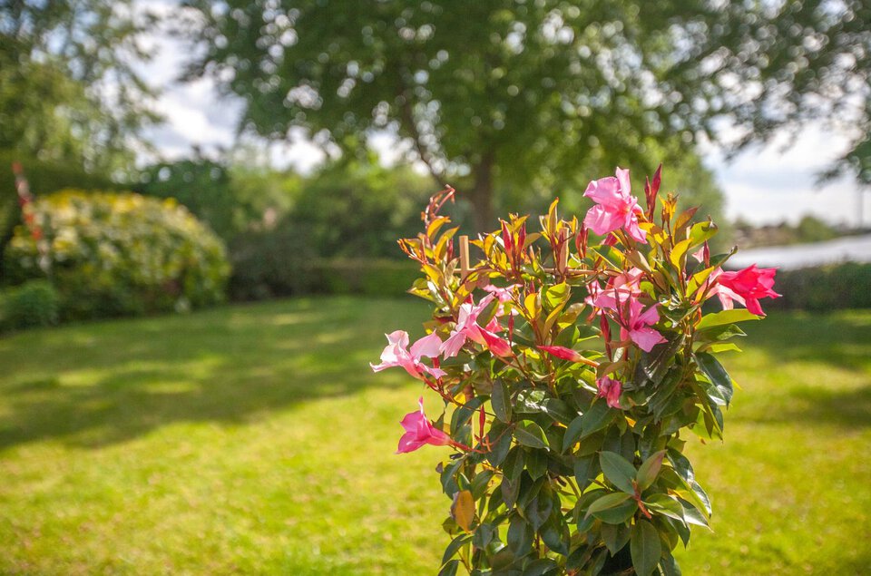 Beukenlaan 54 COEVORDEN